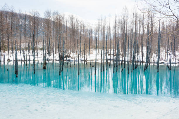 istock Snow melting lake in Biei 1127887466