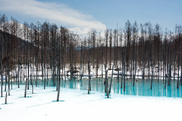 istock Snow melting lake in Biei 1127887510