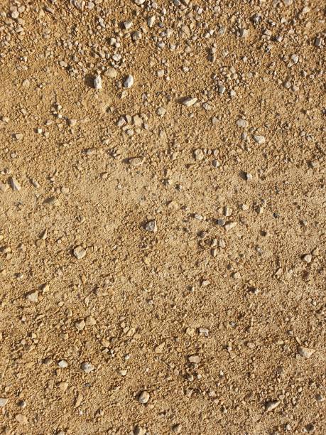 istock Damp brown speckled nature ground walkway 1127894641