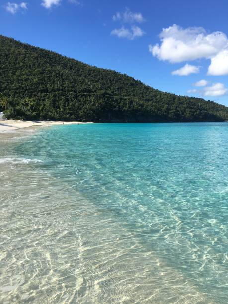 istock Trunk Bay, U.S. Virgin Islands, St Johns Islands 1127894721