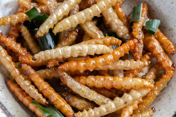 istock Bamboo edible worm insects crispy or Bamboo Caterpillar in ceramic plate. The concept of protein food sources from insects. It is a good source of protein, vitamin, and fiber. 1127898242