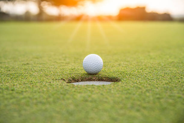 golfer setzt golfball auf dem grünen rasen am golfplatz für spiel mit unschärfe hintergrund und sonnenlicht ray - spielball fotos stock-fotos und bilder