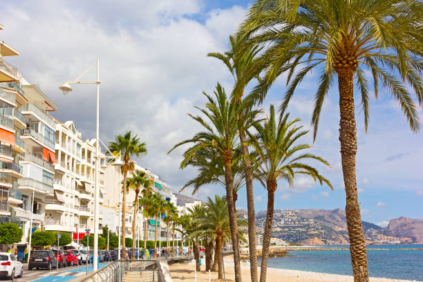 istock Boulevard with palm trees along a beautiful sandy beach in Altea, Spain. 1127903496