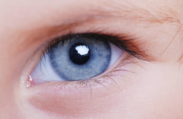 istock Beautiful blue female eye 112790454