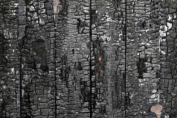 Photo of Burned wall of wood plate