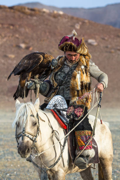 caçador de águia, enquanto caçava para a lebre segurando um águias douradas em seus braços. - independent mongolia fotos - fotografias e filmes do acervo