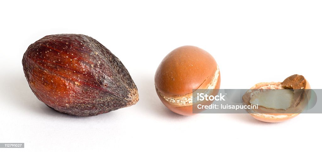 Frutti di Argan - Foto stock royalty-free di Albero di argan