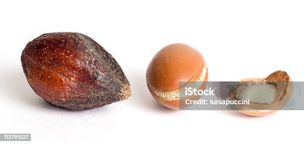 Frutti Di Argan - Fotografie stock e altre immagini di Albero di argan - Albero di argan, Noci, Africa