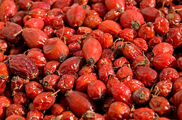 istock Dried berries of a dog-rose 112791049