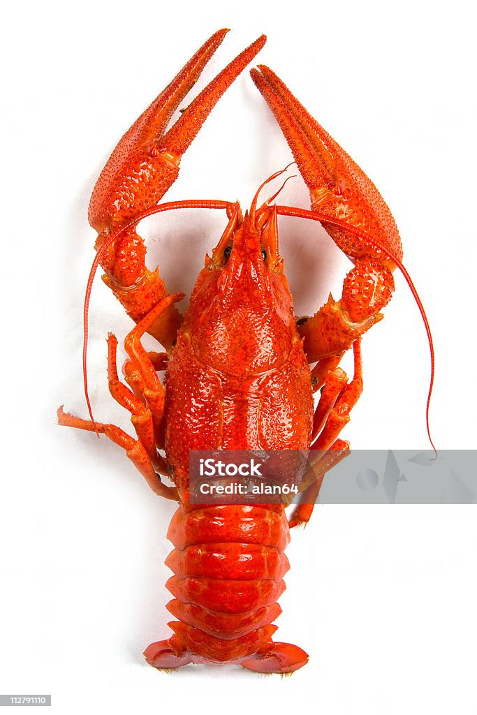 Gekochte crawfish - Lizenzfrei Farbbild Stock-Foto