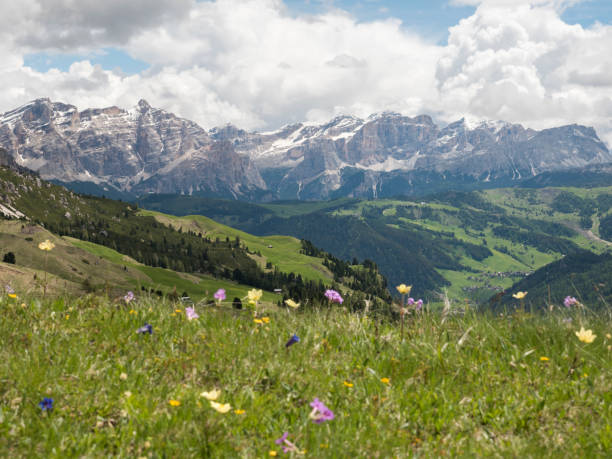 istock Alta Badia from Gardena Pass, Dolomites, Italy 1127911569
