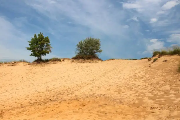 Landscape with cloudy blue sky over sand dunes at Kohler-Andrae State Park, Sheboygan area, Wisconsin, Midwest USA.