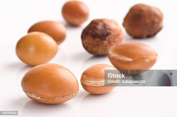 Frutti Di Argan - Fotografie stock e altre immagini di Albero di argan - Albero di argan, Composizione orizzontale, Cosmetici