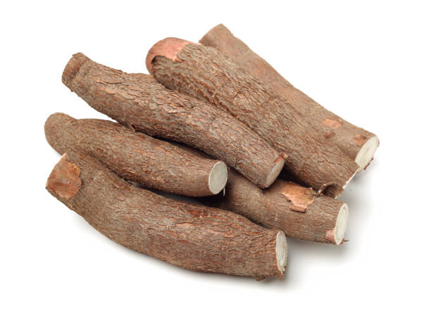 istock Yuka Cassava Root  isolated on white background 1127916387