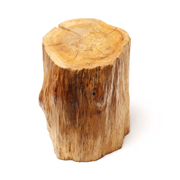 istock Natural Furniture  isolated on white background 1127918072