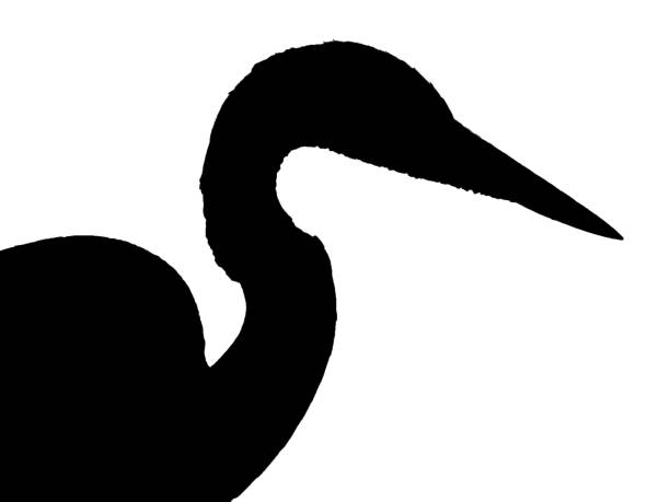 istock Silhouette of great blue heron - black silhouette on white background 1127920372