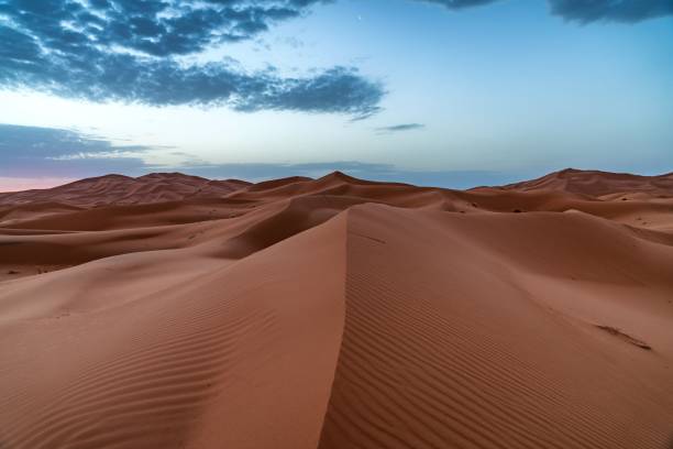 istock Sunset over Sahara desert sand dunes 1127924155