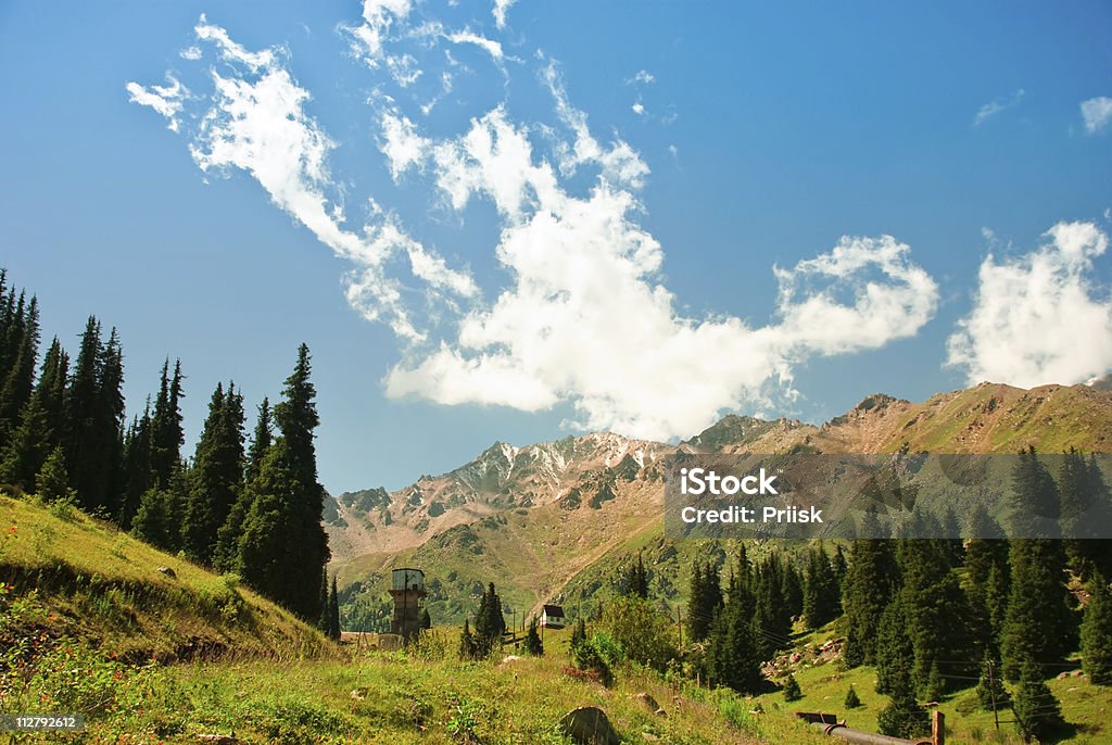 Life in the Mountains  Beauty In Nature Stock Photo