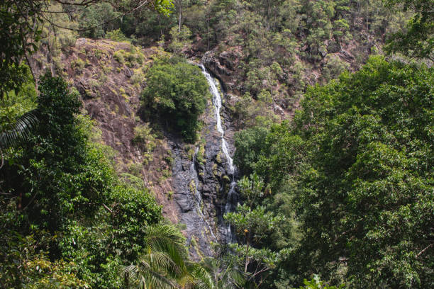 istock waterfall in the mountains Australia Sunshine Coast 1127932863