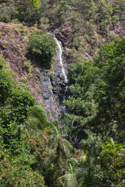istock waterfall in the mountains Australia Sunshine Coast 1127933193