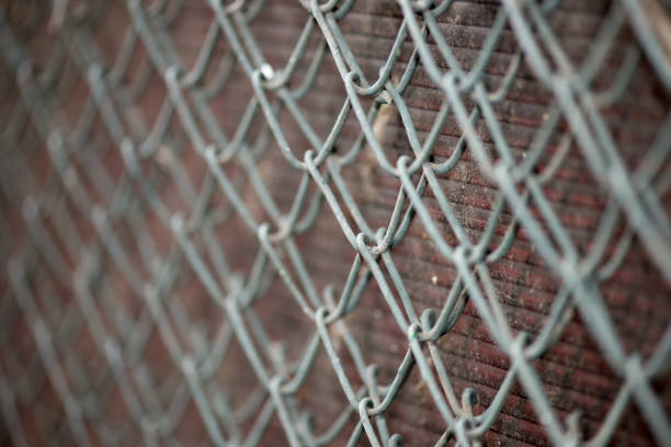 istock Steel wire mesh fence 1127934776
