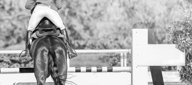istock Horse horizontal black and white banner for website header, poster, wallpaper, monochrome design. 1127937238