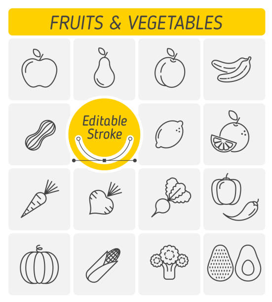 The fruits and vegetables outline vector icon set. The fruits and vegetables outline vector icon set. A veggies, greens, harvest fruitages symbols. Natural, fresh, organic, healthy food and ingestion thin linear vector icons with editable stroke width cauliflower nutrition stock illustrations