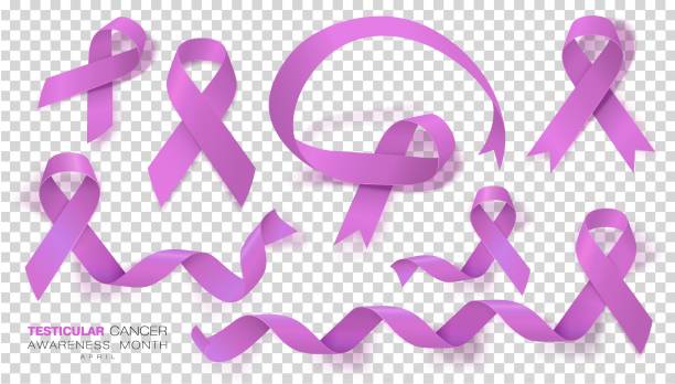 Testicular Cancer Awareness Month. Orchid Color Ribbon Isolated On Transparent Background. Set. Vector Design Template For Poster. Testicular Cancer Awareness Month. Orchid Color Ribbon Isolated On Transparent Background. Set. Vector Design Template For Poster. Illustration. phallic object stock illustrations