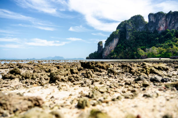 istock A rock sand beach on island at Krabi, Thailand. 1127943189