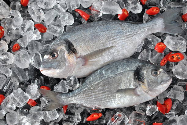 świeże ryby na kostkach lodu - iced fish zdjęcia i obrazy z banku zdjęć