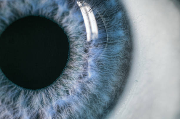 human blue eye extreme macro stock photo