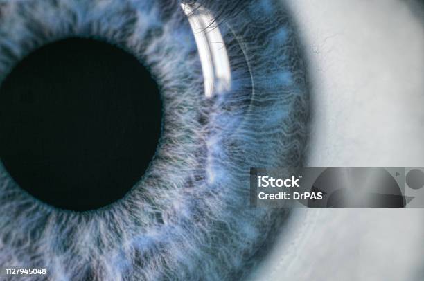 Human Blue Eye Extreme Macro Stock Photo - Download Image Now - Eye, Close-up, Macrophotography