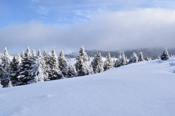 istock that perfect day of winter 1127947983