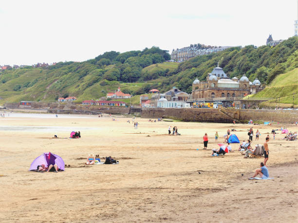 spa und strand, scarborough, yorkshire, großbritannien. - tree large group of people sand sunbathing stock-fotos und bilder