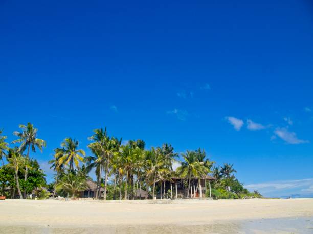 istock Palm trees on a beach on Bantayan island in the Philippines 1127954506