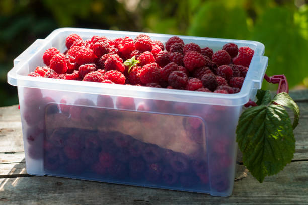 istock fresh delicious raspberry in plastic container on wooden table in garden 1127956088