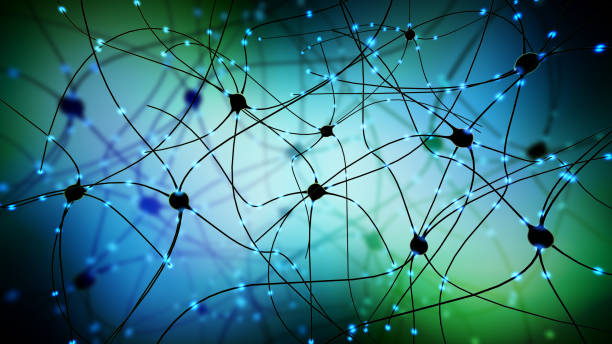 전송 시 냅 스, 신경 또는 신경 세포의 3d 그림 - neuroscience nerve cell nerve fiber dendrite 뉴스 사진 이미지