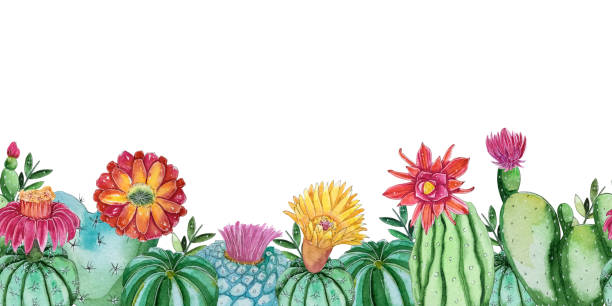 ilustraciones, imágenes clip art, dibujos animados e iconos de stock de plantilla de plantas de cactus acuarela. - croquet party front or back yard wedding