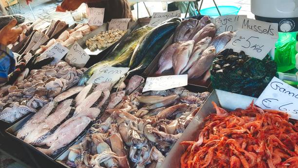 varied fresh fish and seafood for sale - prepared shellfish tray variation catch of fish imagens e fotografias de stock