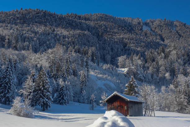 istock In the Mountains on a sunny Winterday 1127957538