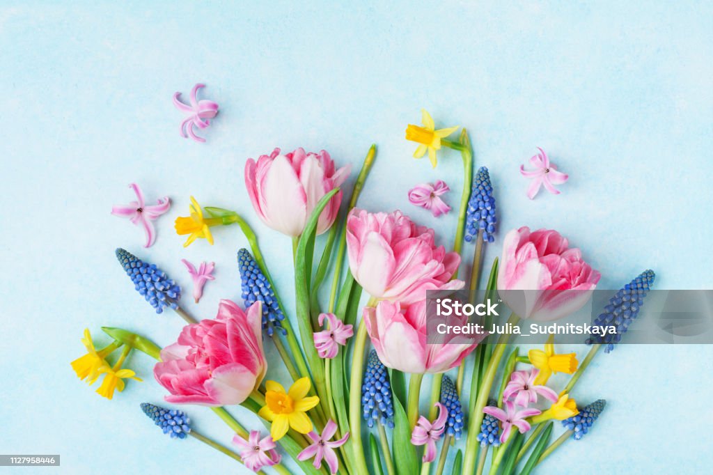 Bouquet von schöne Frühlingsblumen auf Pastell blau Top Tabellenansicht. Grußkarte für internationalen Frauentag. - Lizenzfrei Blume Stock-Foto