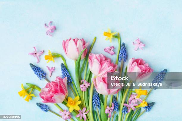 美麗的春花花束在柔和的藍色桌面上的景色國際婦女節賀卡 照片檔及更多 花 照片 - 花, 春天, 花球