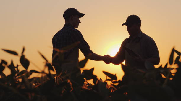 Two farmers talk on the field, then shake hands. Use a tablet stock photo