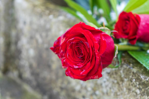 Churchyard cemetery gravestone of black marble with red flowers