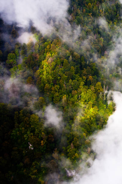 istock Flying over the forest through the gaps of clouds 1127963851