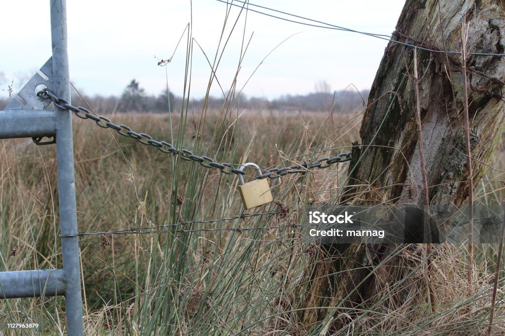 The Sign of Love Lock connects two chains on an electric fence Animals In Captivity Stock Photo