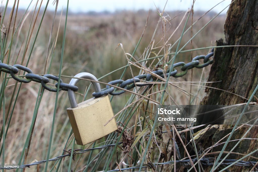 The Sign of Love Lock connects two chains on an electric fence Animals In Captivity Stock Photo