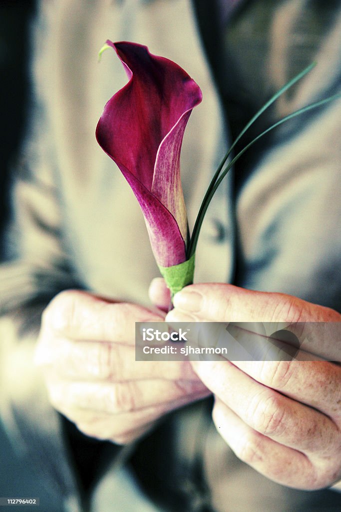 Garçon d'honneur tenant rose et vert boutineer dans les mains - Photo de Adulte libre de droits