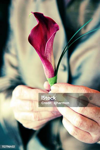 Groomsman Segurando Rosa E Verde Boutineer Em Mãos - Fotografias de stock e mais imagens de Adulto - Adulto, Amigo Solteiro do Noivo que o Acompanha na Cerimónia do Casamento, Amor