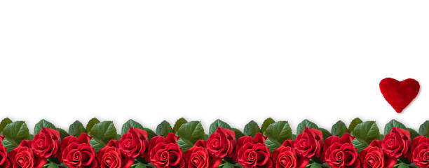 istock Banner with red roses, Valentines hearts and place for your text isolated on white background 1127965968
